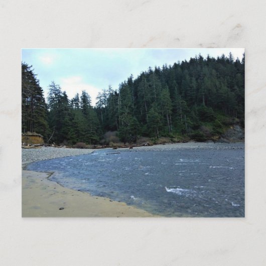 Oswald West State Park Oregon Coast Postkarte (Vorderseite)
