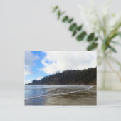 Oswald West State Park Oregon Coast Postkarte (Stehend Vorderseite)