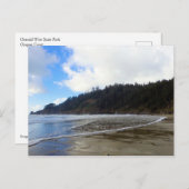 Oswald West State Park Oregon Coast Postkarte (Vorne/Hinten)