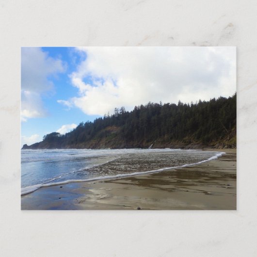 Oswald West State Park Oregon Coast Postkarte (Vorderseite)