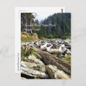 Oswald West State Park Oregon Coast Postkarte (Vorne/Hinten)