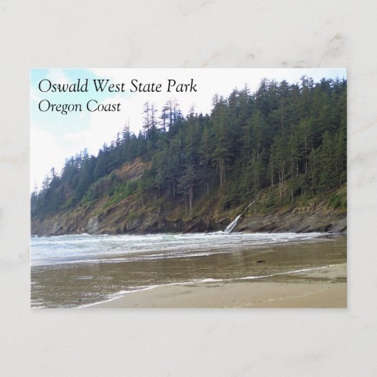 Oswald West State Park Oregon Coast Postkarte (Vorderseite)