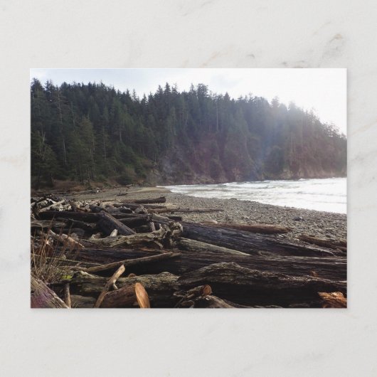 Oswald West State Park Oregon Coast Postkarte (Vorderseite)