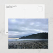 Oswald West State Park Oregon Coast Postkarte (Vorne/Hinten)