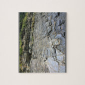 Oswald West State Park Oregon Coast Puzzle (Vertikal)