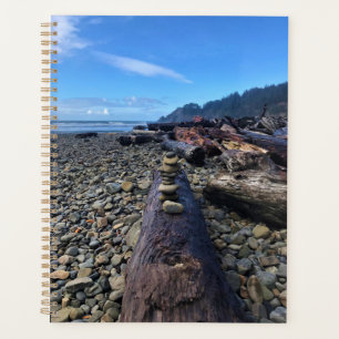 Oswald West State Park, Oregon Planer