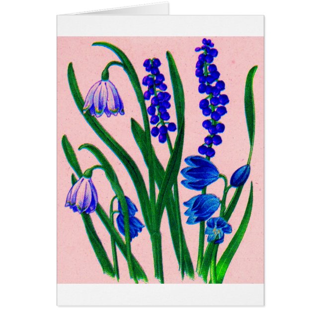 Oszillatoren (Vorne)