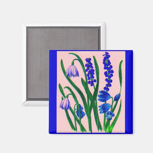 Oszillatoren Magnet (Vorderseite/Rückseite)