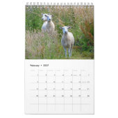 Otago Kalender 2018 (Feb 2027)