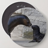 Otaria flavescens button (Vorne & Hinten)