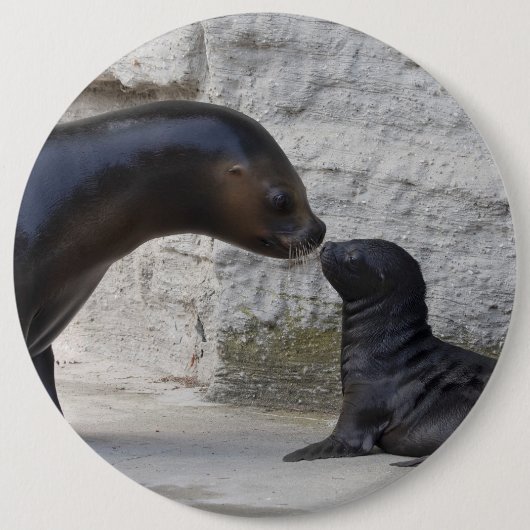 Otaria flavescens button (Vorderseite)
