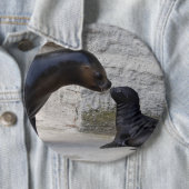 Otaria flavescens button (Beispiel)