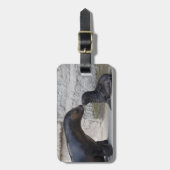 Otaria flavescens gepäckanhänger (Vorderseite vertikal)