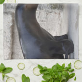 Otaria flavescens geschirrtuch (Gefaltet)