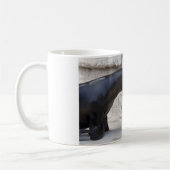 Otaria flavescens kaffeetasse (Links)
