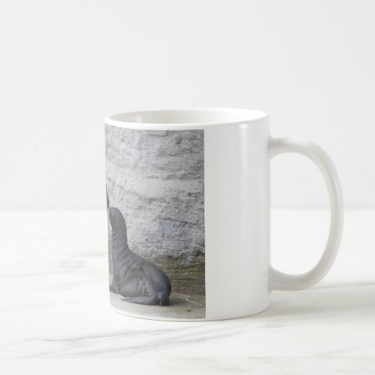 Otaria flavescens kaffeetasse (Rechts)