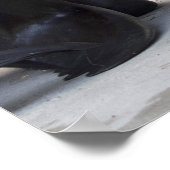 Otaria flavescens poster (Ecke)