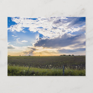 Other Sunset Postkarte