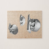 Öthopädie Zeichnend Schädel und Knochen Puzzle (Horizontal)