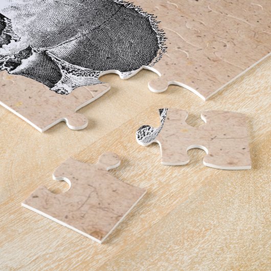 Öthopädie Zeichnend Schädel und Knochen Puzzle (Seite)