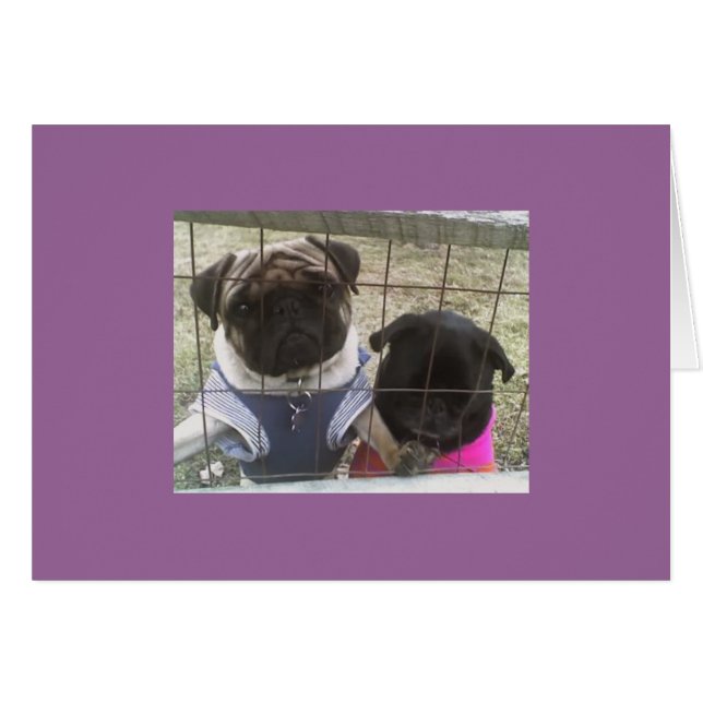 Otis & Maddie Card (Vorderseite (Horizontal))