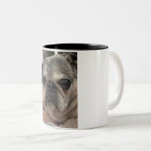 Otist den Mops auf einer Tasse (VorderseiteRechts)