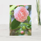 Otome-tsubaki: Camellia [Greeting Card] Karte (Vorderseite)