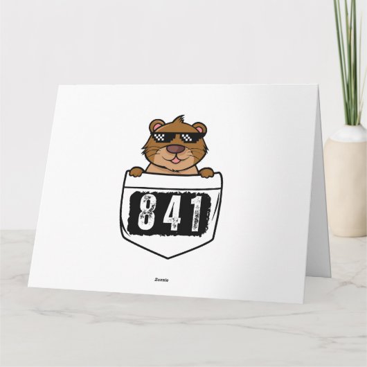 Otter 841 karte (Rückseite)