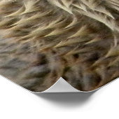 Otter Absurdity Poster (Ecke)