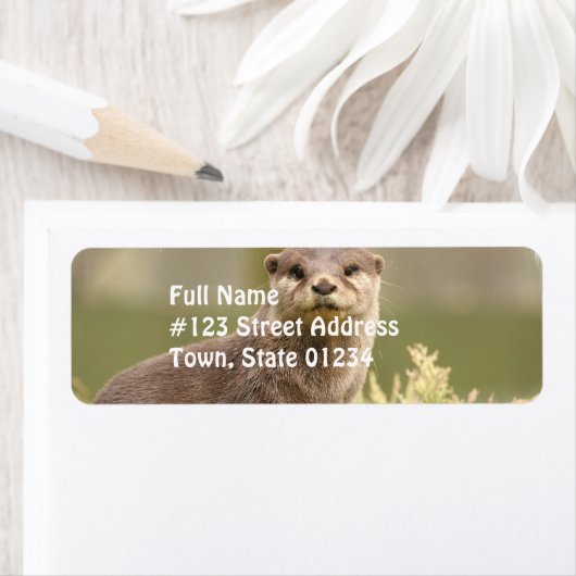 Otter Address Labels (Insitu)