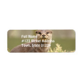 Otter Address Labels (Vorne)