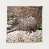 Otter am Felsen Wandteppich (Vorderseite)