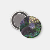 Otter-Anfänge – Erste Abenteuer Magnet (Vorderseite/Rückseite)