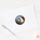 Otter Aufkleber (Umschlag)