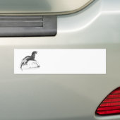 Otter Autoaufkleber (Auf Auto)