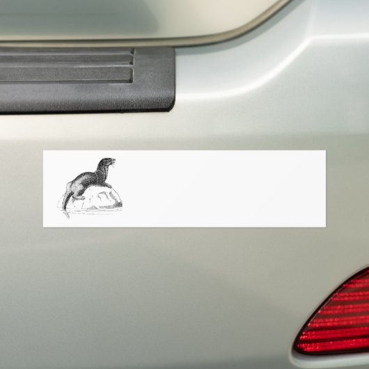 Otter Autoaufkleber (Auf Auto)