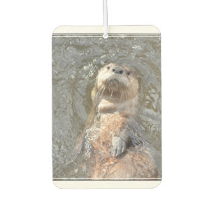 Otter Back Float Autolufterfrischer