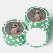 Otter Back Float Pokerchips (Stapel)