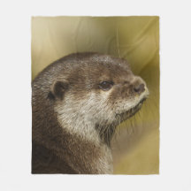 Otter Blick auf seine Schulter