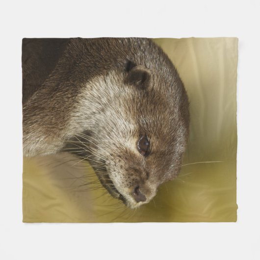 Otter Blick auf seine Schulter Fleecedecke (Vorderseite (Horizontal))