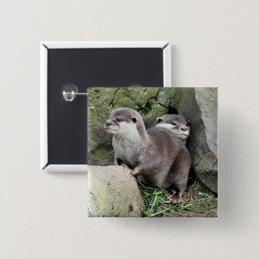 OTTER BUTTON (Vorne & Hinten)