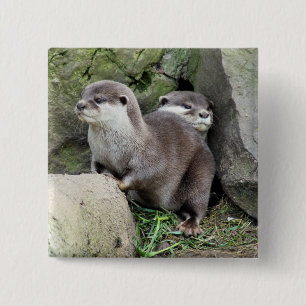OTTER BUTTON