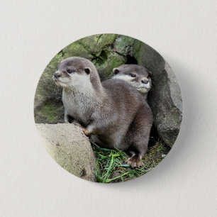 OTTER BUTTON