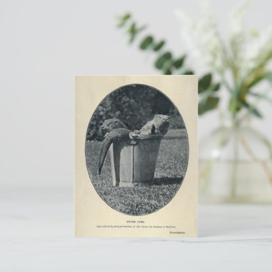 Otter Cubs Postkarte (Stehend Vorderseite)