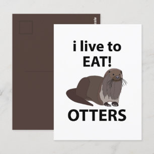 Otter, die ich lustig finde zu essen postkarte