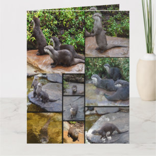 Otter Foto Collage Jumbo Gruß Karte