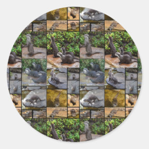 Otter Foto Collage Round Stickers. Runder Aufkleber
