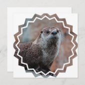 Otter-Foto-Einladung Einladung (Vorne/Hinten)
