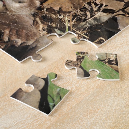 Otter-Foto Puzzle (Seite)