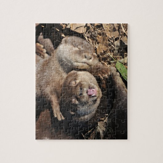 Otter-Foto Puzzle (Vertikal)